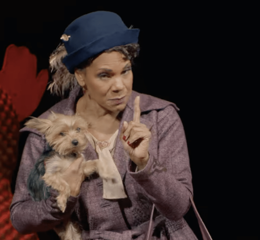 McDonald knocks a finger at the audience, while holding her yorkie in her other arm.